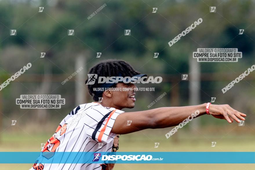 XXXII Brasileirão de Softbol