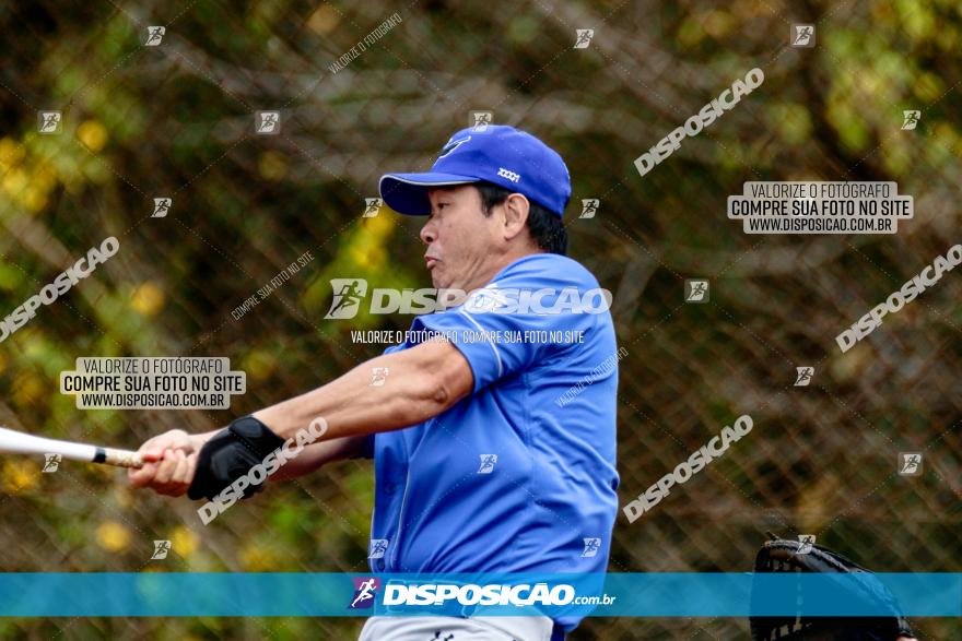 XXXII Brasileirão de Softbol