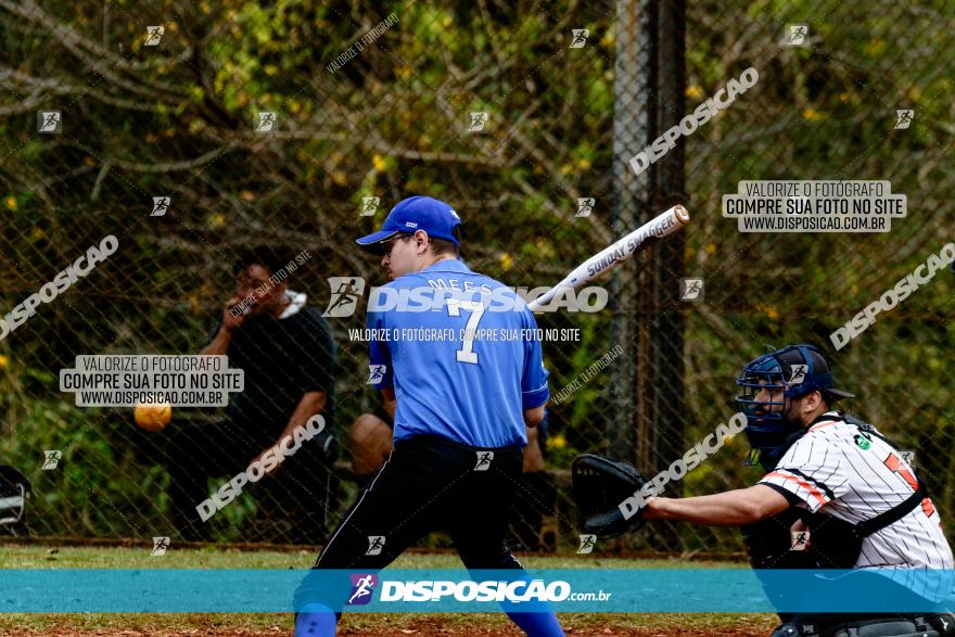 XXXII Brasileirão de Softbol