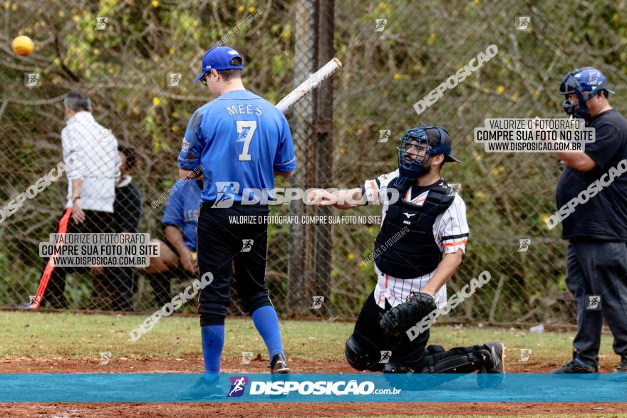 XXXII Brasileirão de Softbol