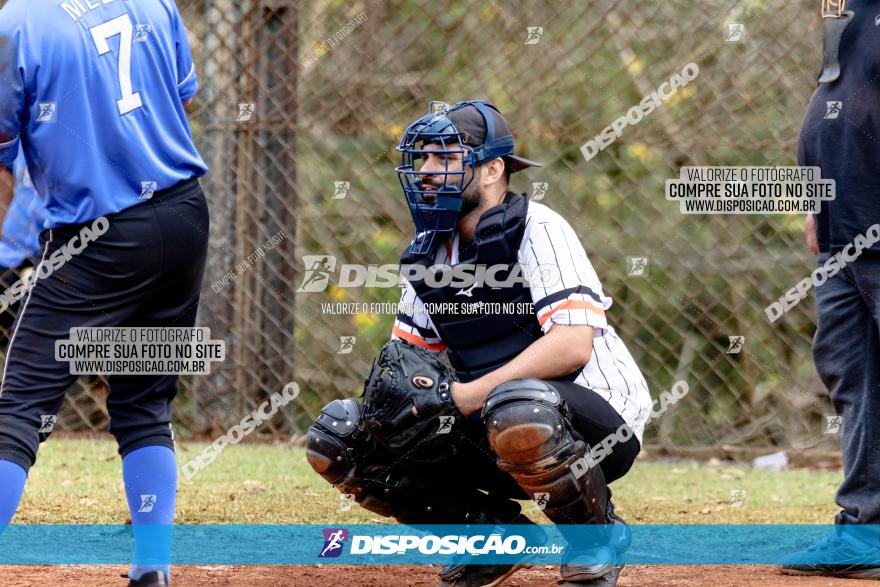 XXXII Brasileirão de Softbol