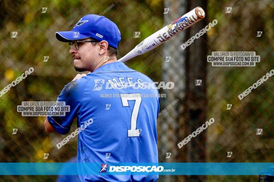 XXXII Brasileirão de Softbol