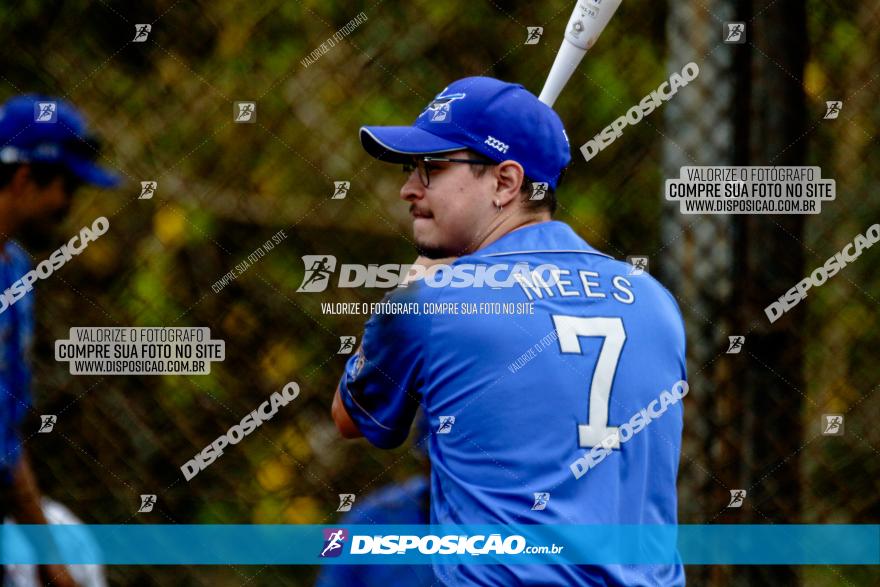 XXXII Brasileirão de Softbol