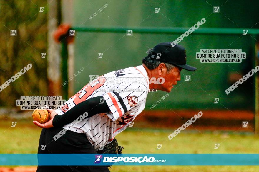 XXXII Brasileirão de Softbol