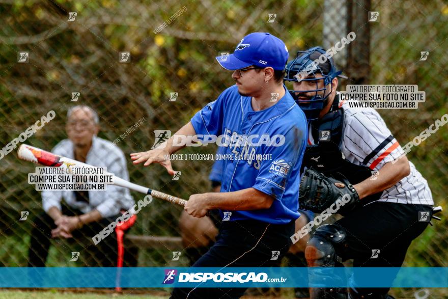 XXXII Brasileirão de Softbol