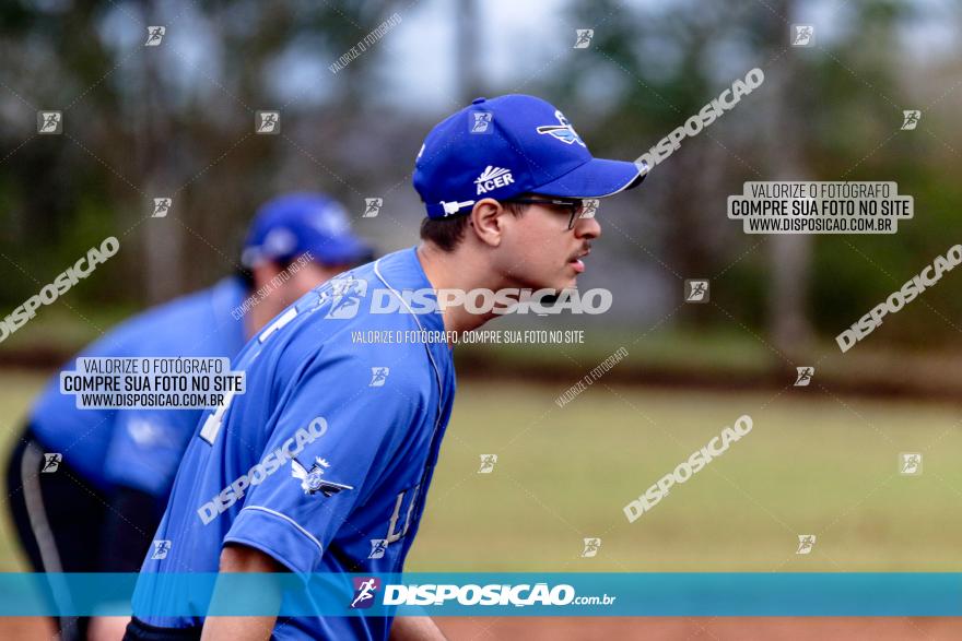 XXXII Brasileirão de Softbol