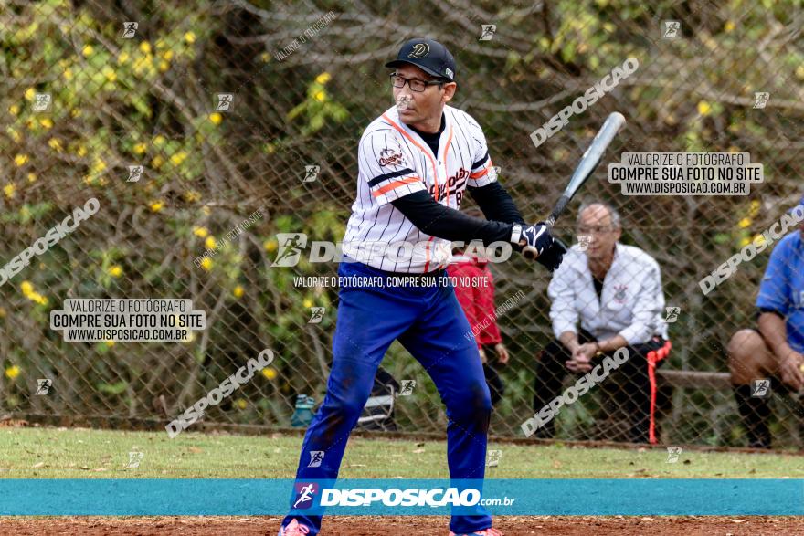 XXXII Brasileirão de Softbol