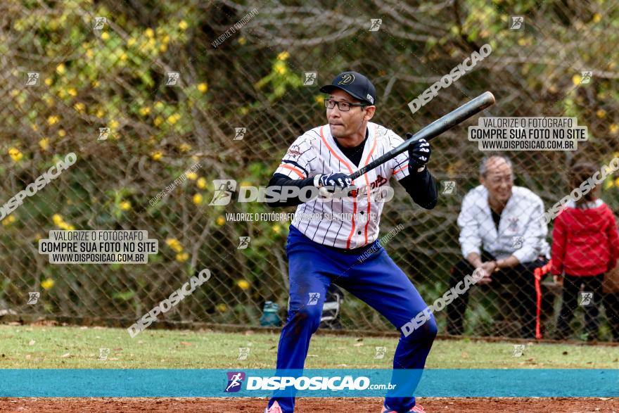 XXXII Brasileirão de Softbol