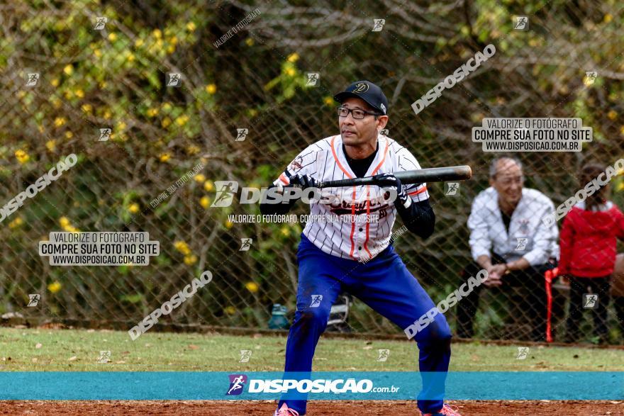 XXXII Brasileirão de Softbol