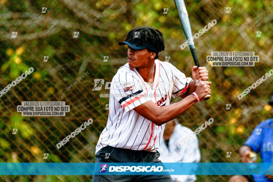 XXXII Brasileirão de Softbol