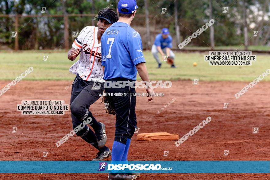 XXXII Brasileirão de Softbol