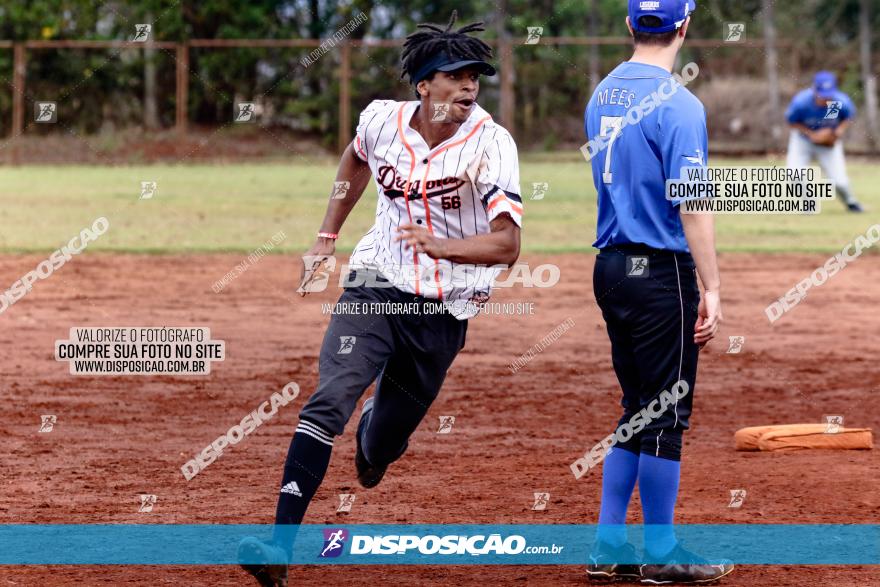 XXXII Brasileirão de Softbol