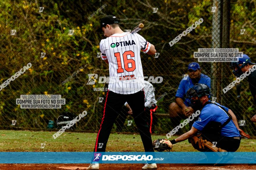 XXXII Brasileirão de Softbol