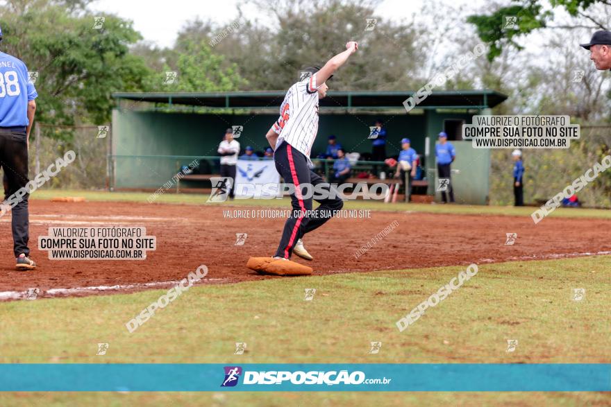 XXXII Brasileirão de Softbol