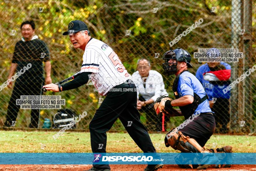 XXXII Brasileirão de Softbol