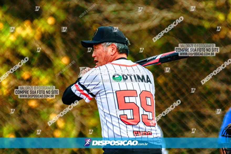 XXXII Brasileirão de Softbol