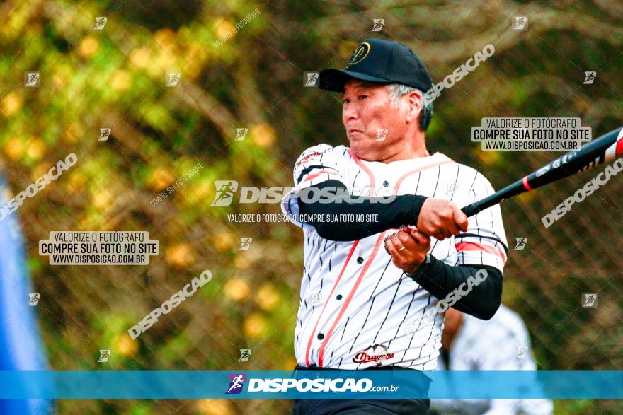 XXXII Brasileirão de Softbol