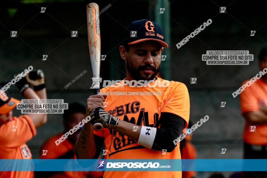 XXXII Brasileirão de Softbol