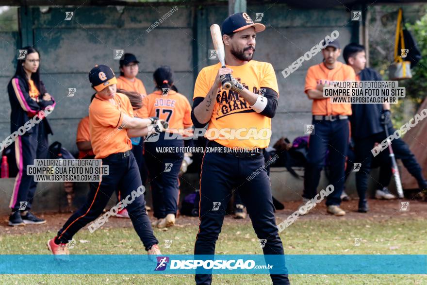 XXXII Brasileirão de Softbol