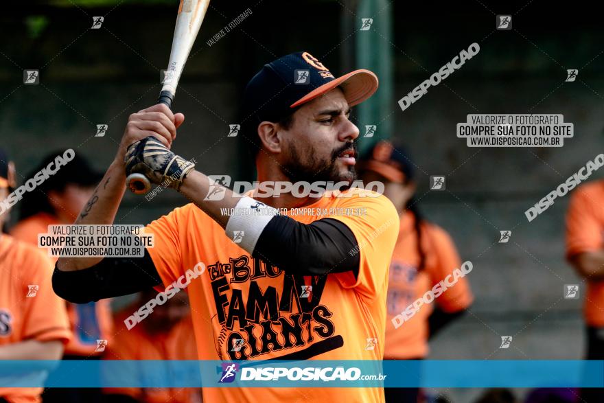 XXXII Brasileirão de Softbol