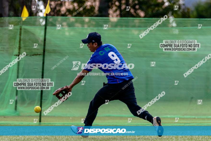 XXXII Brasileirão de Softbol