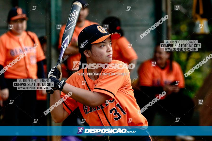 XXXII Brasileirão de Softbol