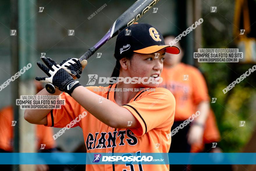 XXXII Brasileirão de Softbol