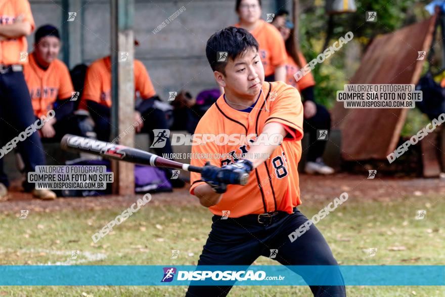 XXXII Brasileirão de Softbol