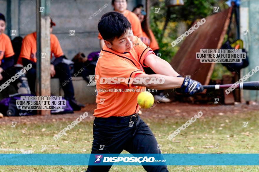 XXXII Brasileirão de Softbol