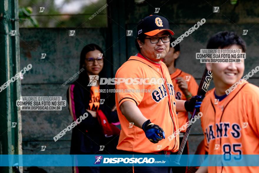 XXXII Brasileirão de Softbol