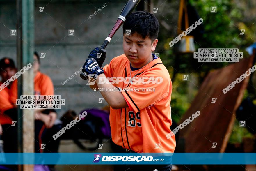 XXXII Brasileirão de Softbol