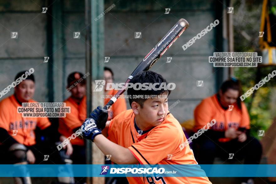 XXXII Brasileirão de Softbol