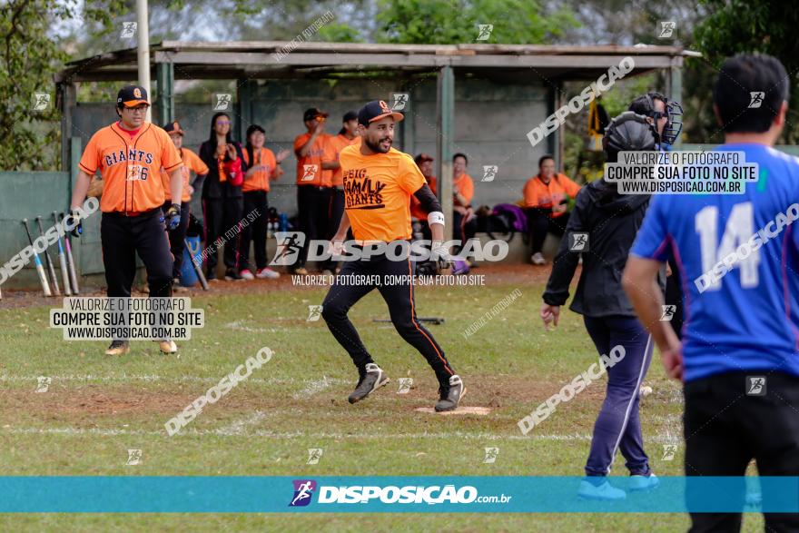 XXXII Brasileirão de Softbol