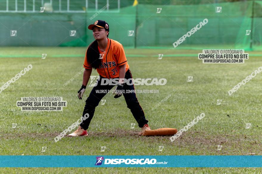 XXXII Brasileirão de Softbol