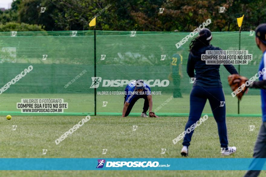 XXXII Brasileirão de Softbol