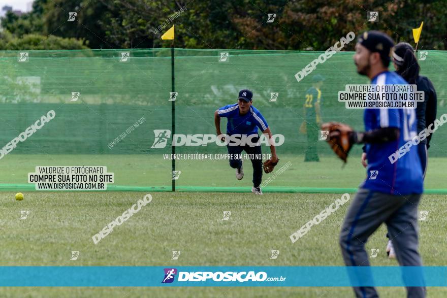 XXXII Brasileirão de Softbol