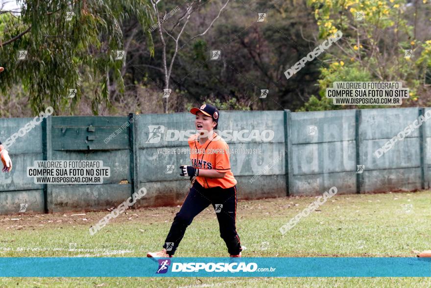 XXXII Brasileirão de Softbol