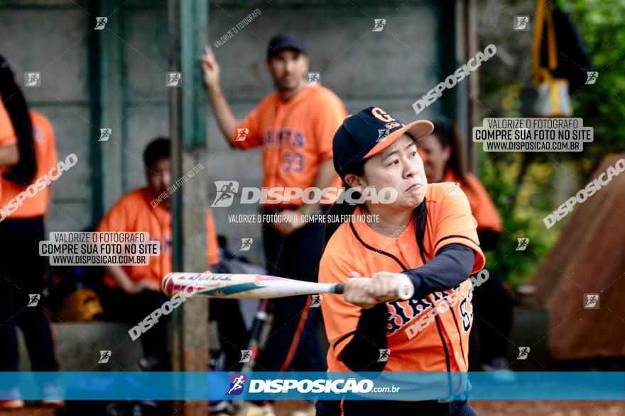 XXXII Brasileirão de Softbol