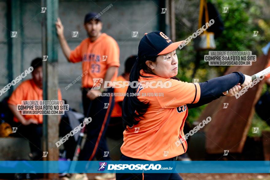 XXXII Brasileirão de Softbol