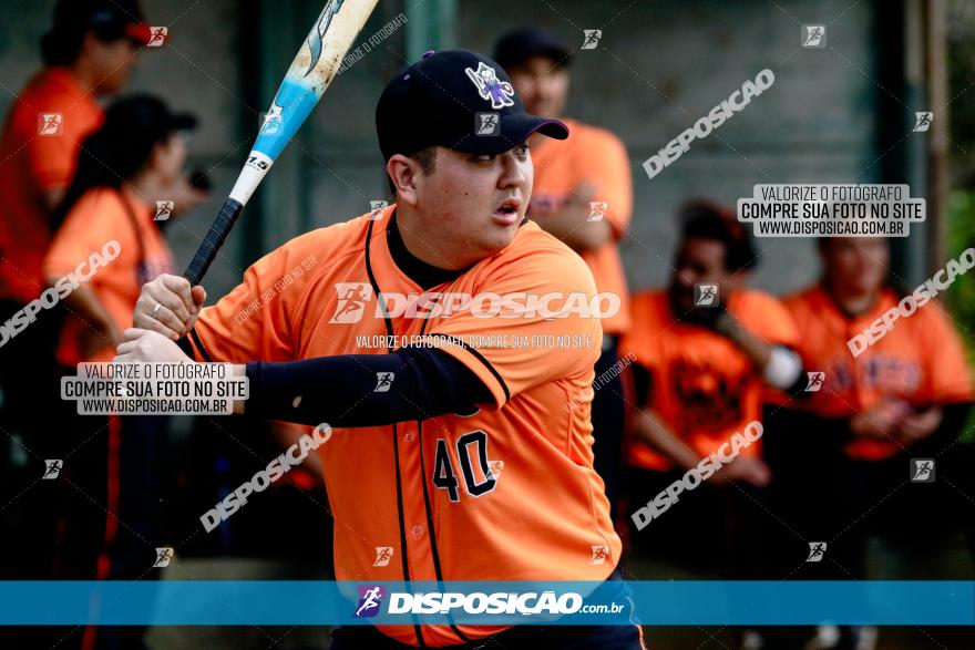 XXXII Brasileirão de Softbol