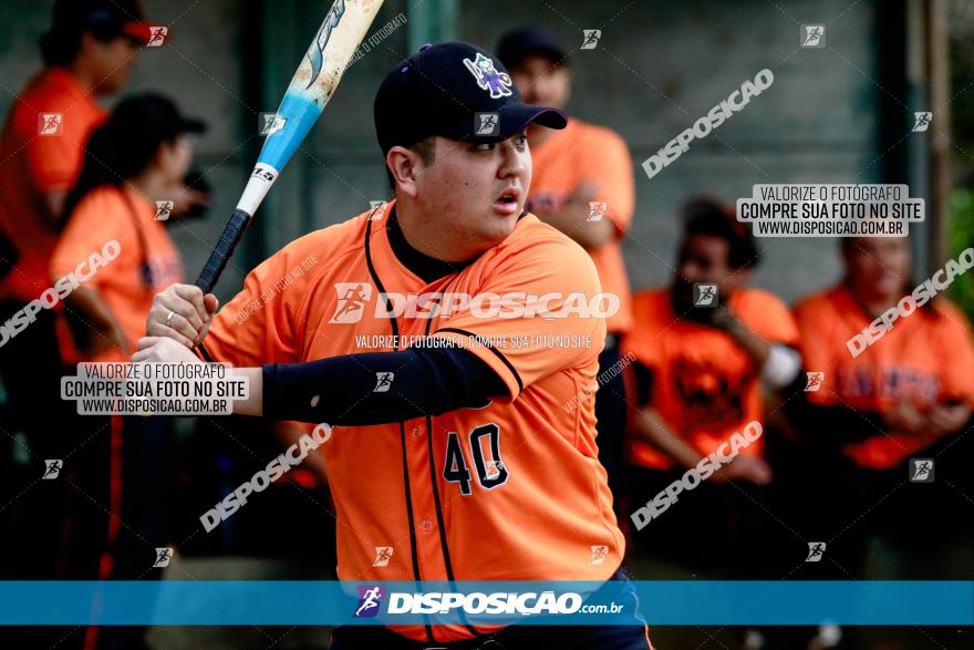 XXXII Brasileirão de Softbol