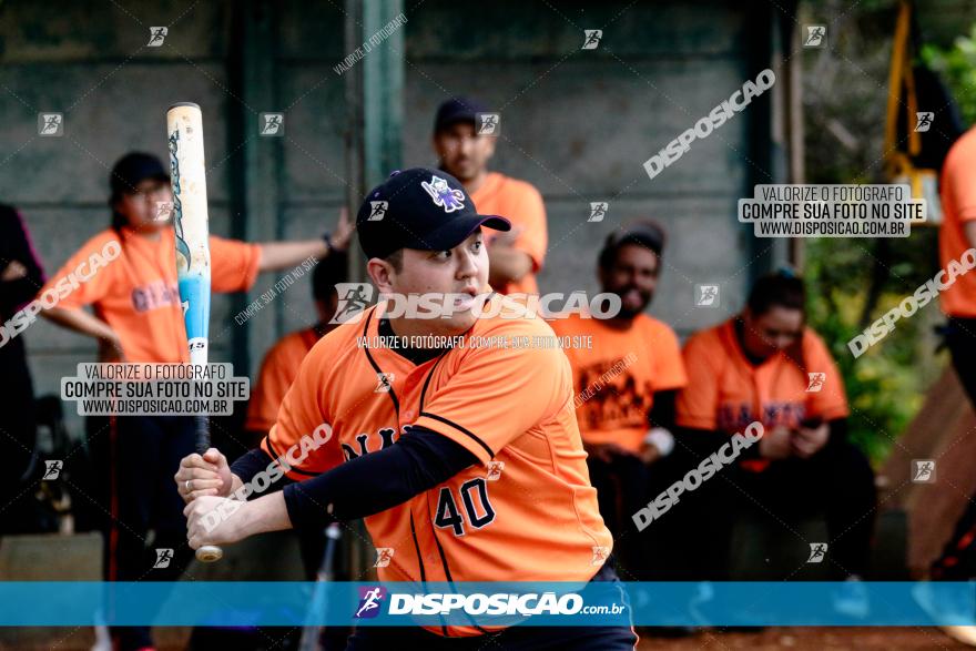 XXXII Brasileirão de Softbol