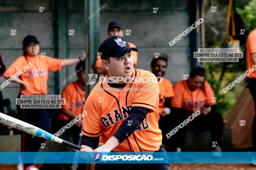 XXXII Brasileirão de Softbol