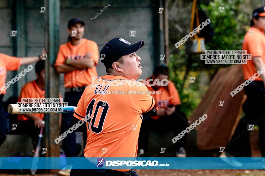 XXXII Brasileirão de Softbol