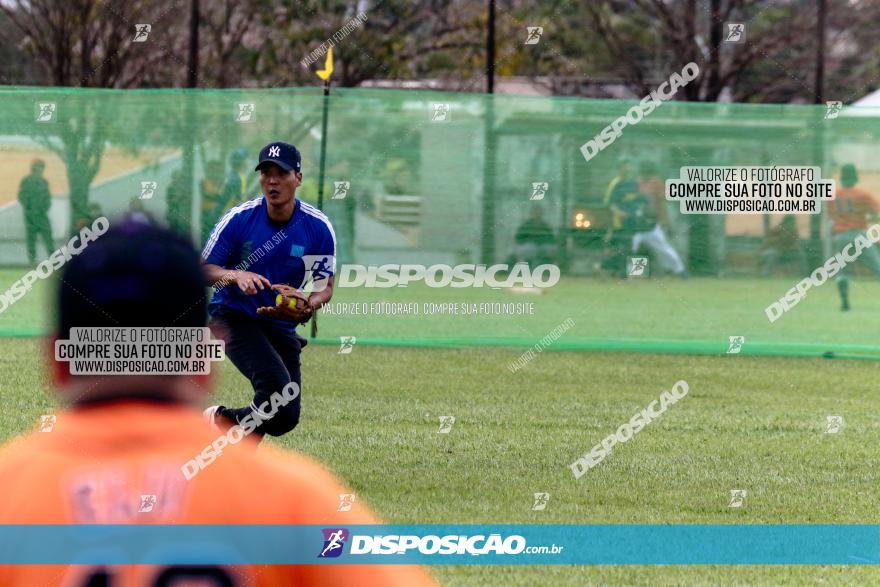 XXXII Brasileirão de Softbol