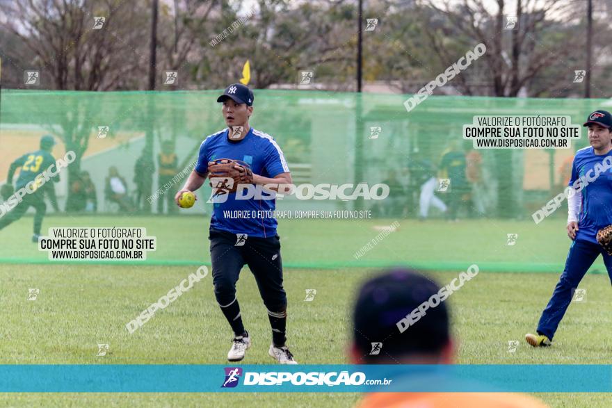 XXXII Brasileirão de Softbol