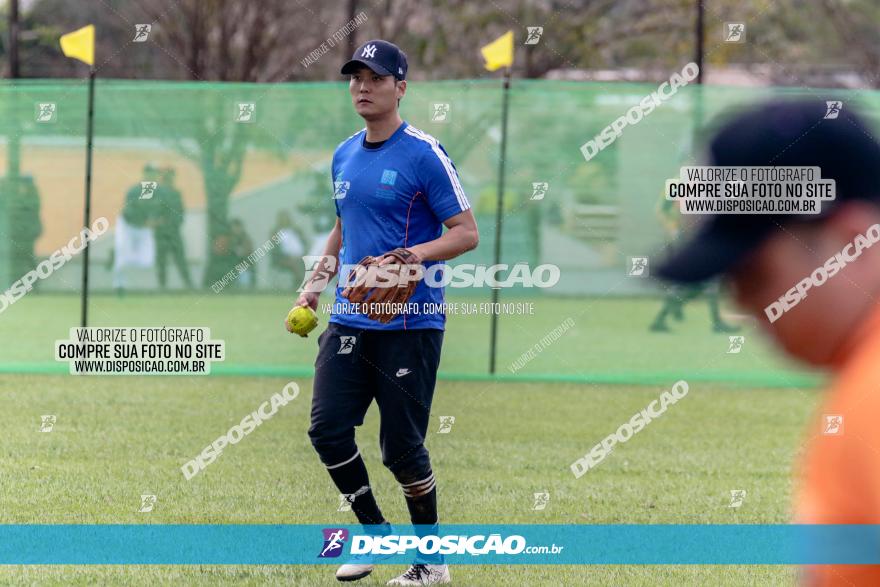 XXXII Brasileirão de Softbol