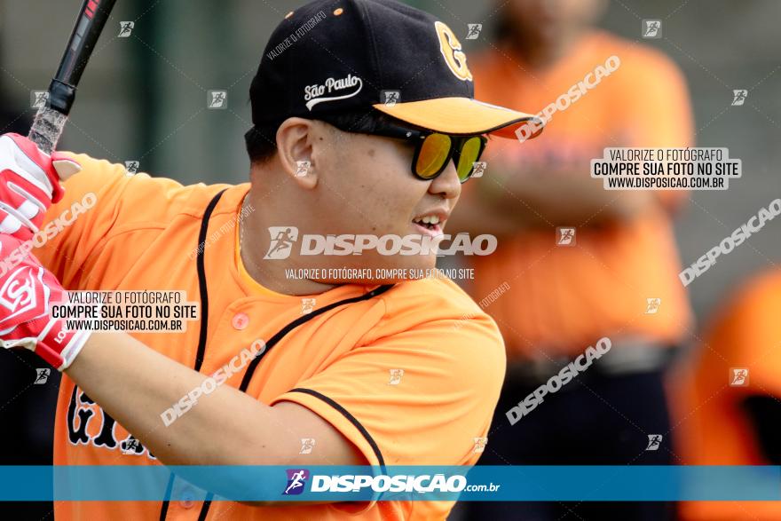 XXXII Brasileirão de Softbol