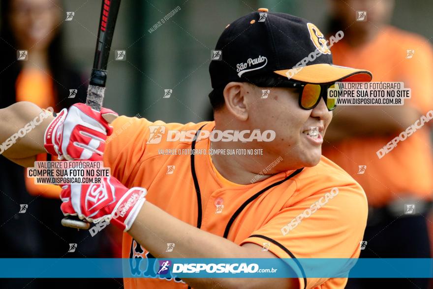 XXXII Brasileirão de Softbol