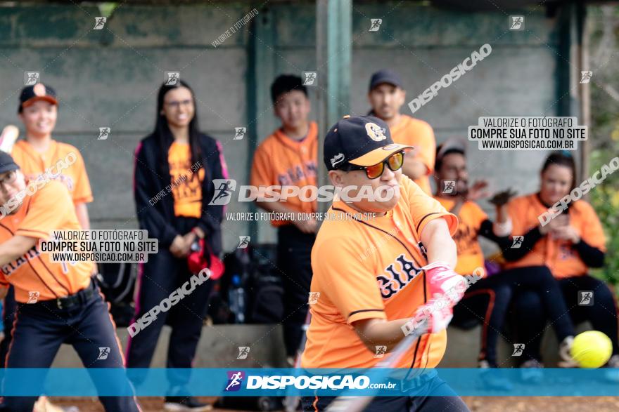 XXXII Brasileirão de Softbol